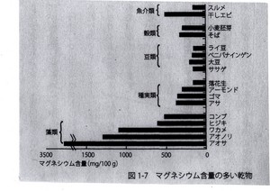 マグネシウム.jpg